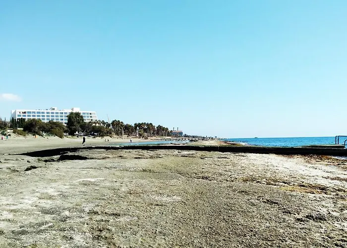 Daire Olosuites Limasol