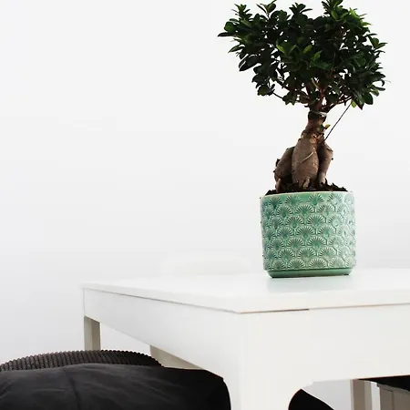 Apartment Olosuites